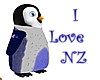 NZ Fairy Penguin