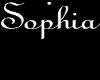 ~DT~ Necklace Sophia