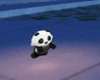 funny Baby Panda JR
