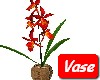 Orchids in Rock Vase