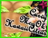 Sube HawaiiCitrus Bikini