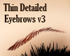 Thin Detailed Eyebrows 3