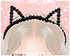 $K Cat Headband
