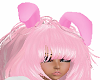 Pink Bunny ears