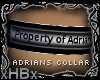 ~xHBx~ Adrians Collar