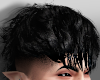Mullet V
