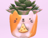 ! Cat Plant