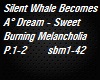 Silent Whale BecomesA P1