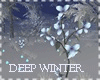 Deep Winter Photo*R