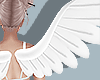 Lv' Wings W.