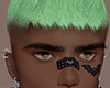 Niqy green v2