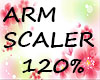 K Arm Scaler 120%