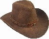 Brown Cowgirl Hat 2