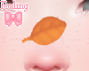 🎀 Nose Leaf