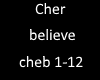 Cher believe