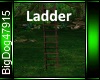 [BD] Ladder