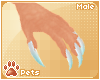 [Pets] Siravi | claws