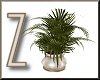 Z Naturalist Plant LG V1