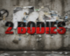 2 Bodies