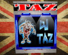 DJ Taz Sign Custom