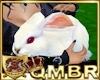 QMBR Ani Pet the Bunny