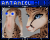 A* Taj | F King Cheetah