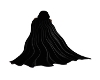 Wiccan Cloak 1