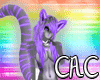 [C.A.C] Purple Tigi F