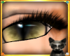 |LB|Tabby Lashes