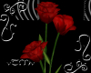 vTMv Red Passion Rose