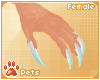 [Pets] Siravi | claws