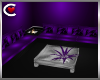 Divine Club Couch Purple