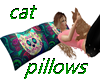 Cat and Pillows