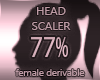 Head Resizer 77%