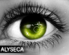 Aly! Inu eyes v1