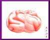 [KSDK]Avi Human !Brain