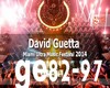 David Guetta Festival