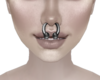 HR| Large Septum