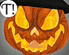 T! Pumpkin Witch Bundle
