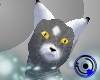 Foxxie Kitty - Silver