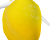 Lemon Body F