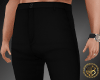 WB-Dant Pants