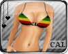 [C] Rasta Bikini Top