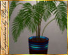 I~Med 1 Palm Plant 2