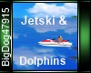 [BD] Jetski & Dolphins