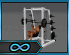 ∞Weightlifting Gym