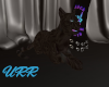 URR Black Cat