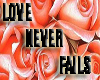 bg love never fails