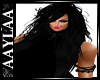 Black Tia