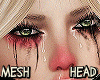Mesh Head]Eye]Eyebrow]
